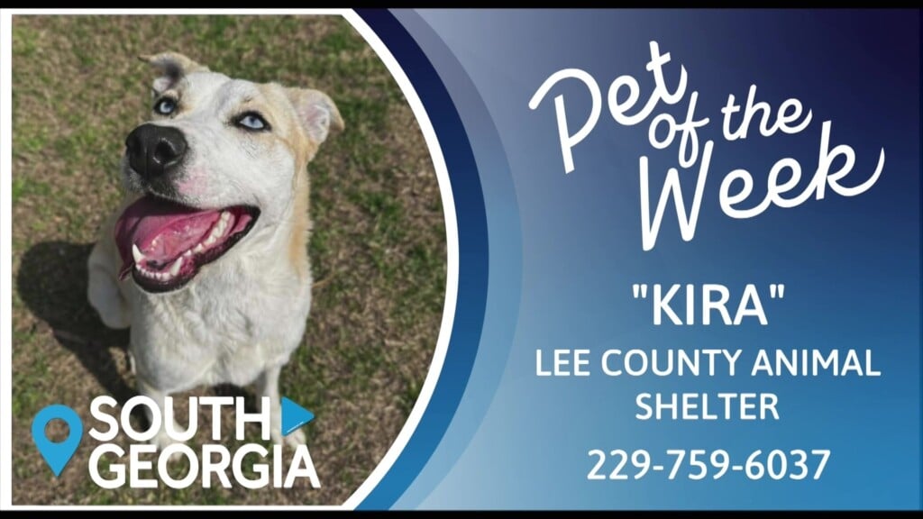 Pet Of The Week Kira