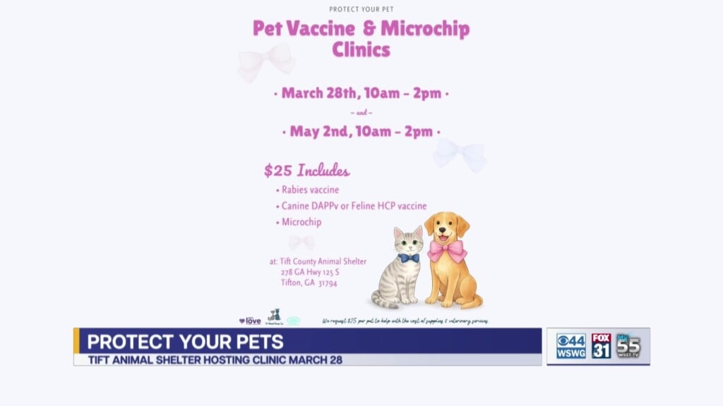 Tifton Tift County Animal Shelter Pet Vacc And Microchip Clinic