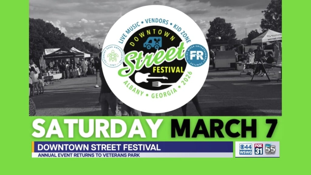 Albany Downtown Street Festival