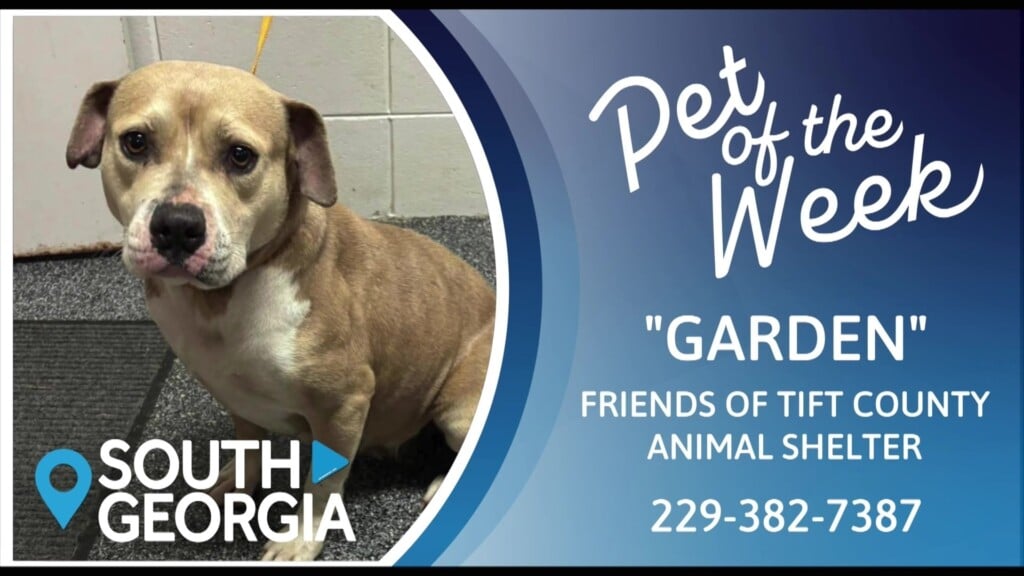 Pet Of The Week Garden