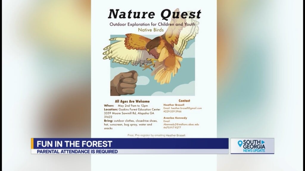 Alapaha Nature Quest Birds