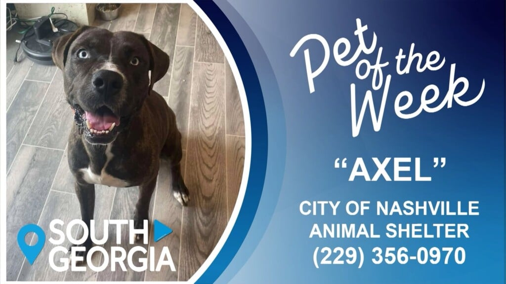 Potw Axel