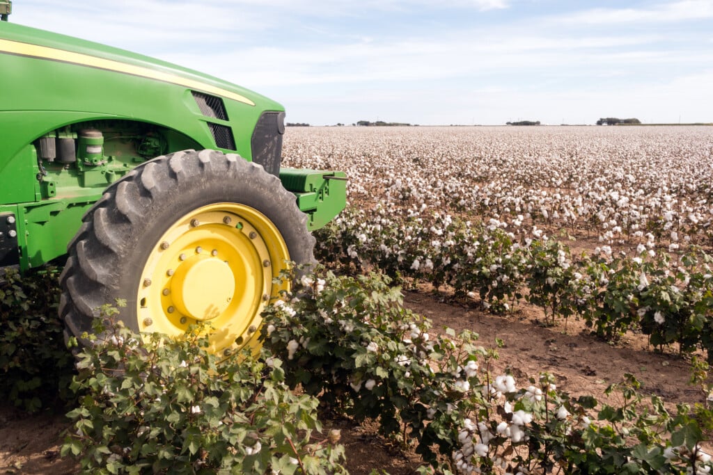 Cotton Farm Field Texas Plantation Tractor Agriculture Cash Crop