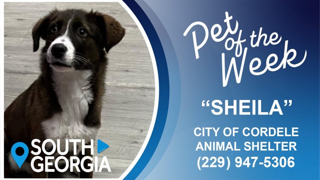 Pet Of The Week Sheila