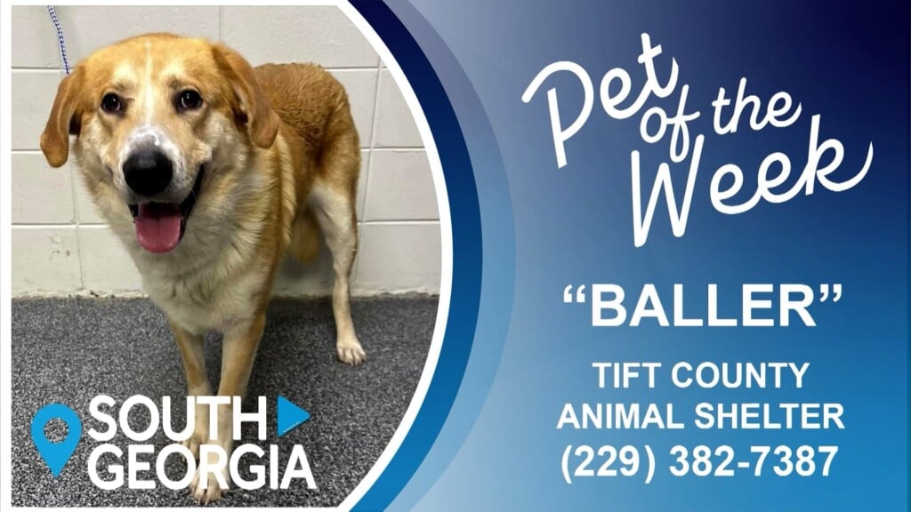 Potw Baller