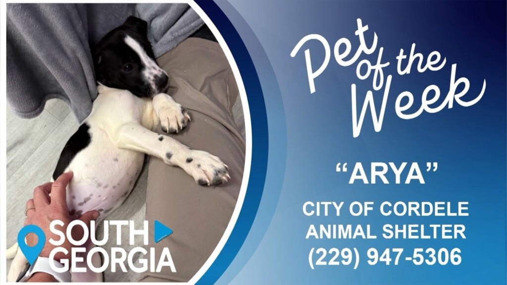South Georgia Pet Of The Week: Arya