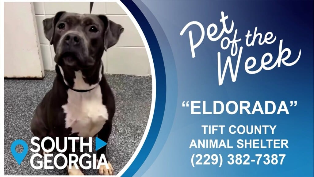 South Georgia Pet Of The Week Eldorada