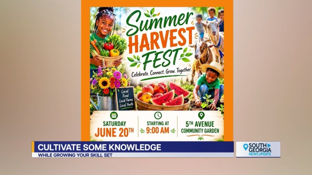 Albany Summer Harvest Fest