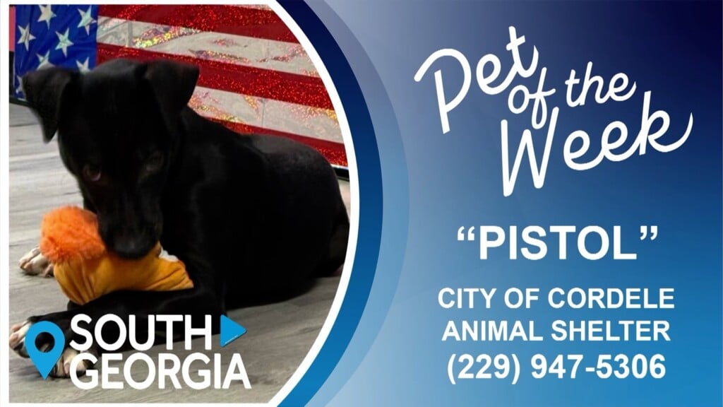 South Ga News Pet Of The Week