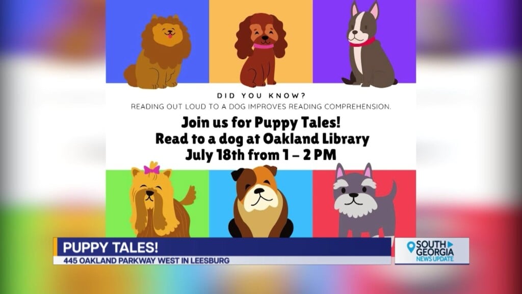 Leesburg Puppy Tales