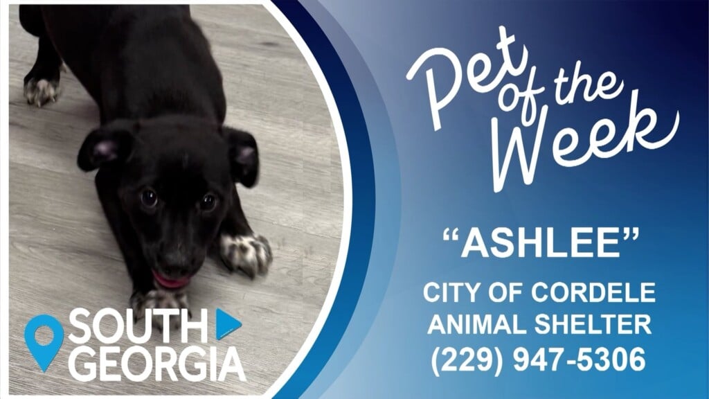 Potw Ashlee