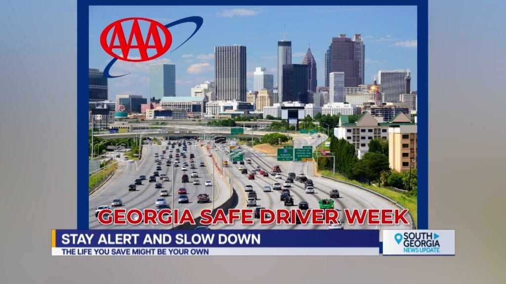Ga Safe Driver Week