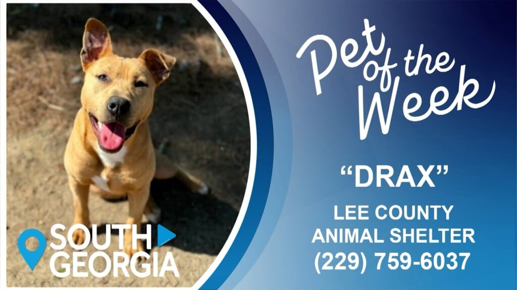 South Georgia Pet Of The Week: Drax