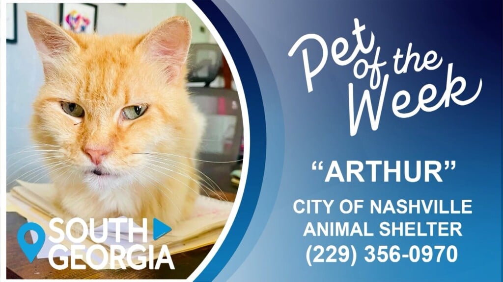 Potw Arthur