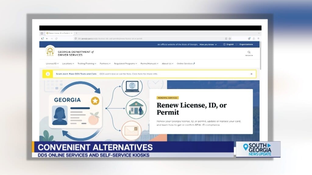 Ga Dds Dl Website