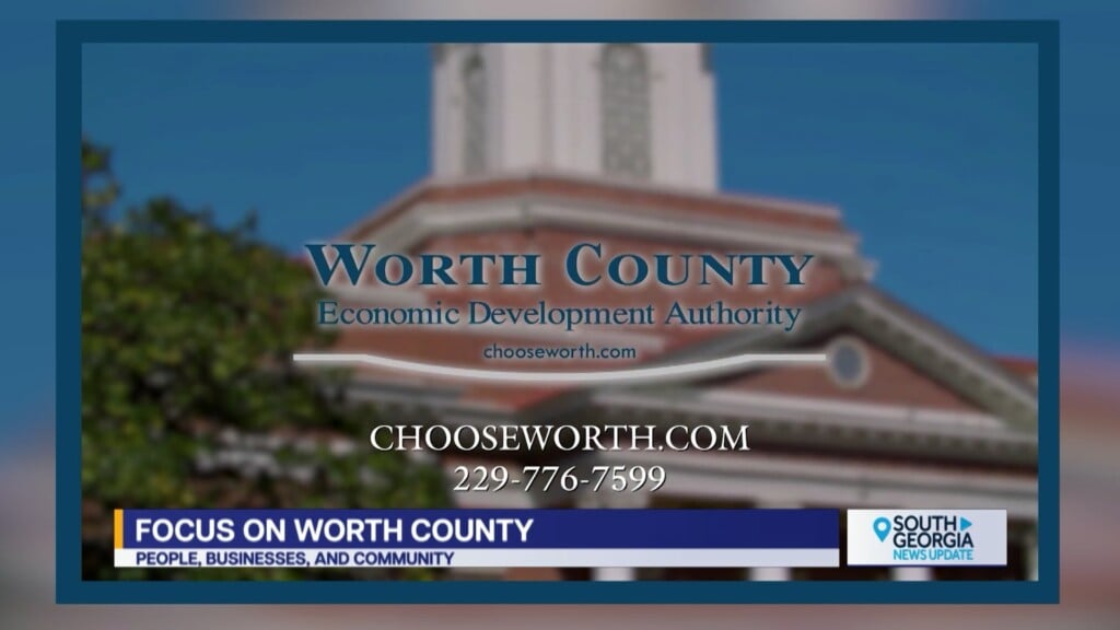 Sylvester Worth County Viewpoint Feature