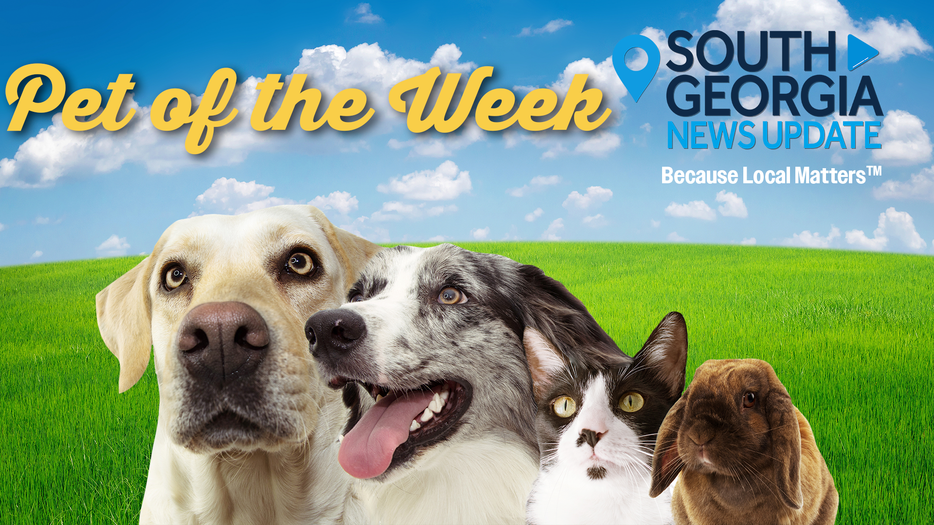Pet Of The Day Southga