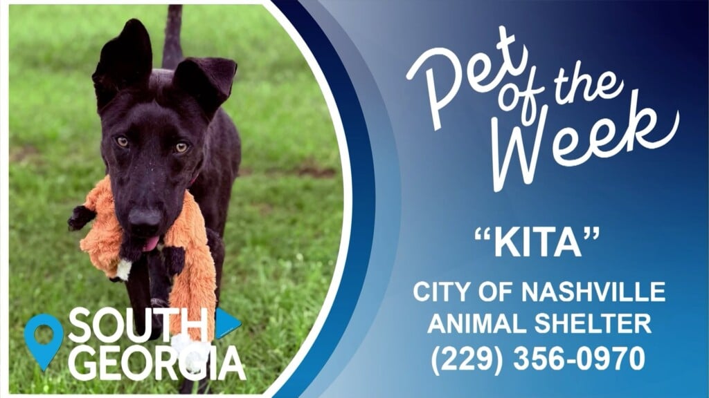 Potw Kita