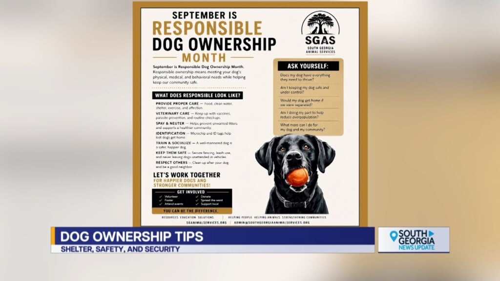 Ray City Responsible Dog Ownership Month