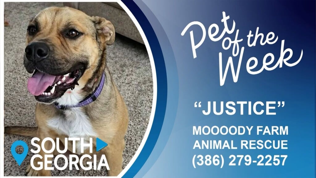 South Ga Potw Justice