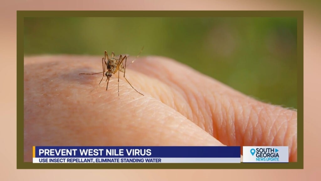 Georgia West Nile Virus Prevention