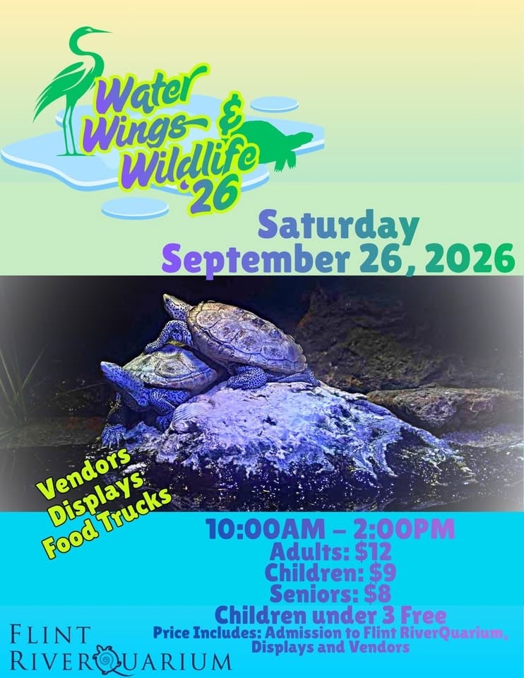 Albany Water Winngs And Wildlife 0926