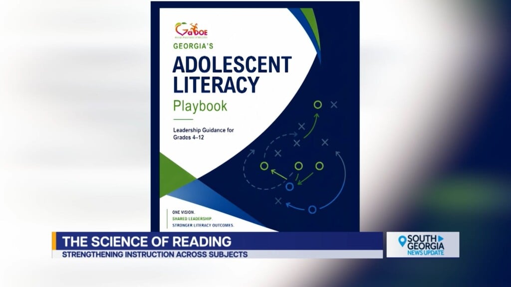 Georgia Literacy Playbook