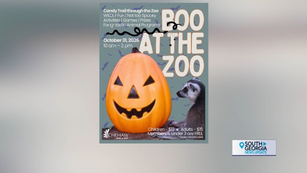 Albany Boo At The Zoo 1031.mp4