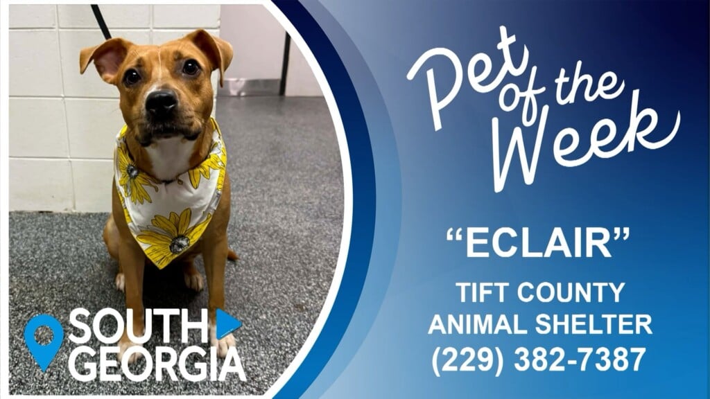 South Georgia Pet Of The Week Eclair