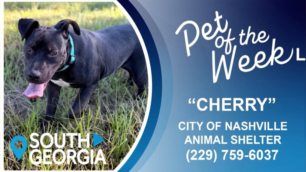 South Georgia Pet Of The Week Cherry