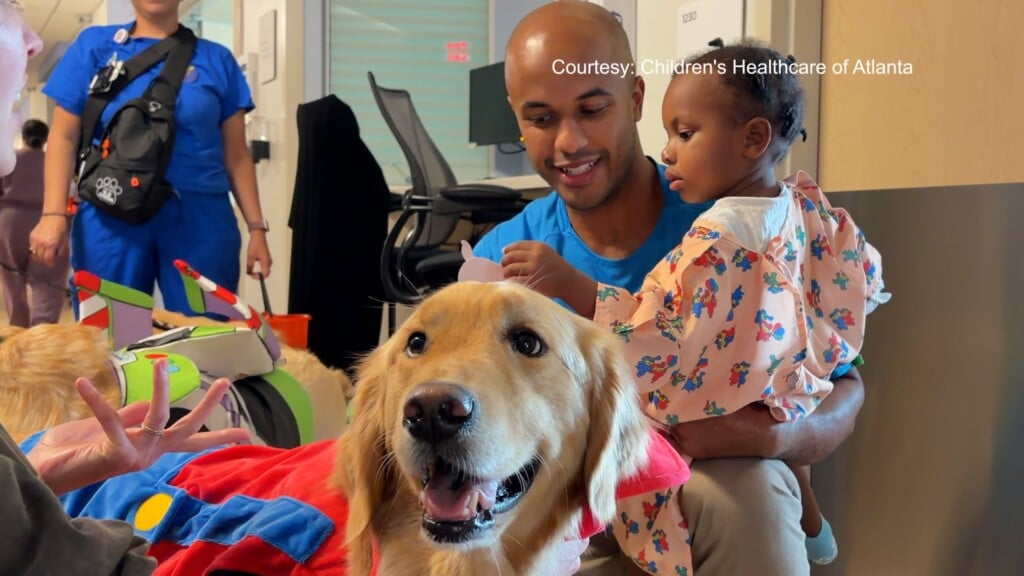 Atlanta Childrens Healthcare Halloween