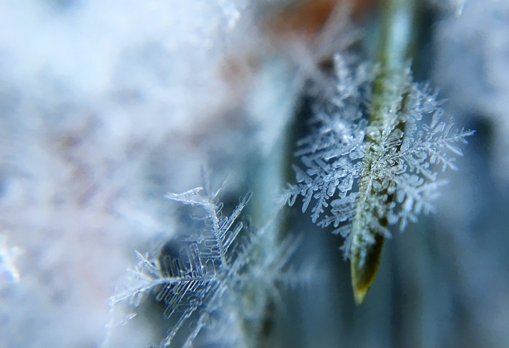 Snowflake Aaron Burden Vtczp 9gvrq Unsplash