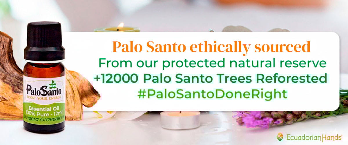 EcuadorianHands PaloSanto