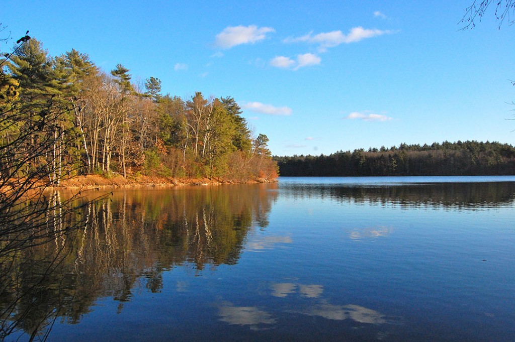 Walden Pond 2010