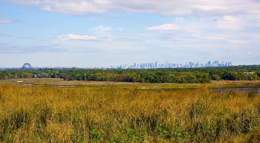Garrett Ziegler Fresh Kills Landfill