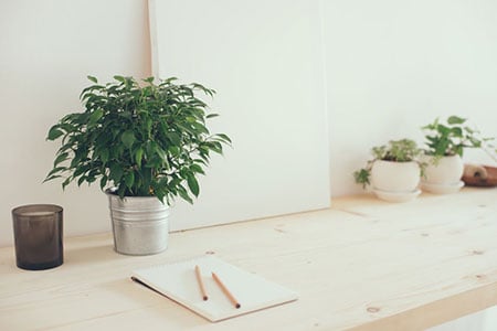 Desk With Plants 62090899 S