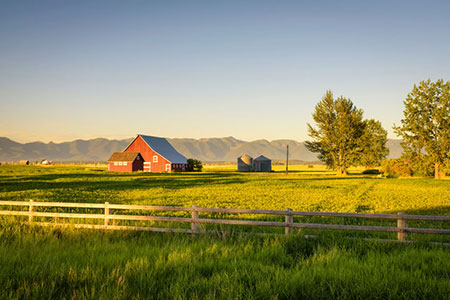 Farm 88461319 S