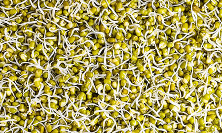 Sprouted seeds