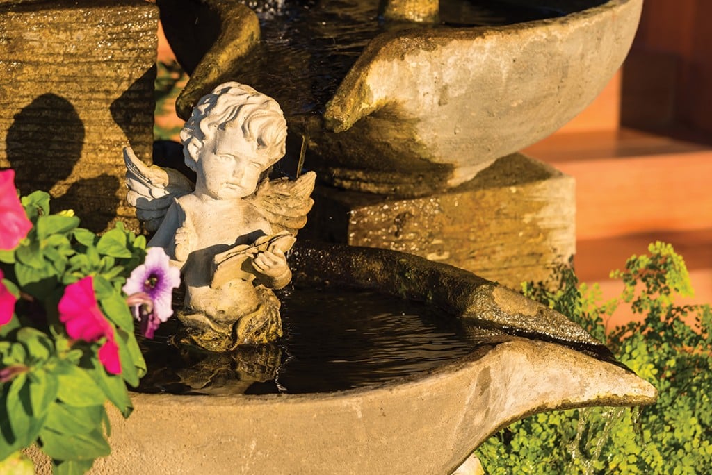 Steppingin Tonature Garden