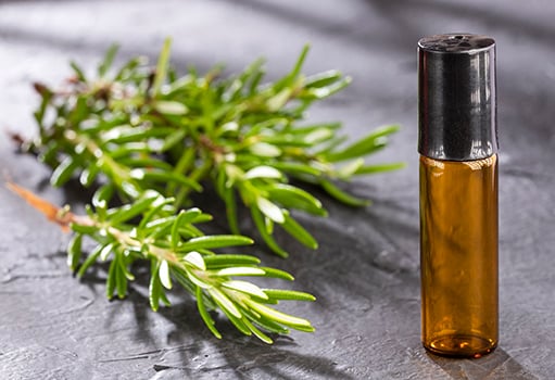 Rosemary sprig and an essential oil bottle