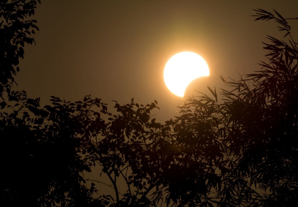 Solar Eclipse With Silhouette Tree
