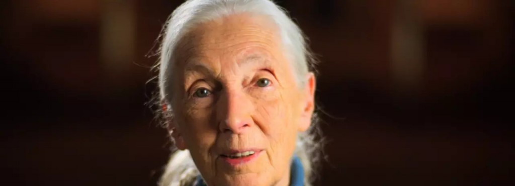 Jane Goodall 1200x675jpgrev