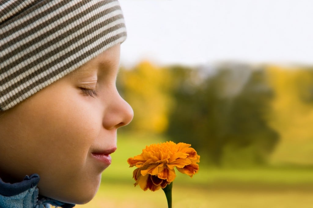 3 Years Old Boy Smelling Flower In Outdoors Scenery. Focus On Flower.
