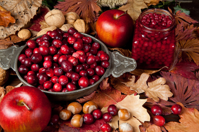 Thanksgiving Still Life With Cranberries, Autumn Leaves, Apples And Nuts