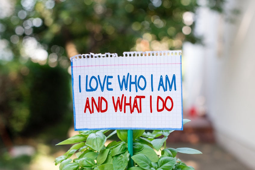 Word Writing Text I Love Who I Am And What I Do. Business Concept For High Selfstem Being Comfortable With Your Job Plain Empty Paper Attached To A Stick And Placed In The Green Leafy Plants.