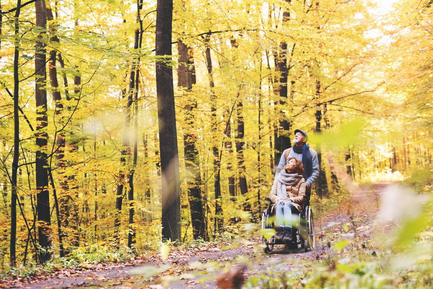 Senior Couple With Wheelchair In Autumn Forest.