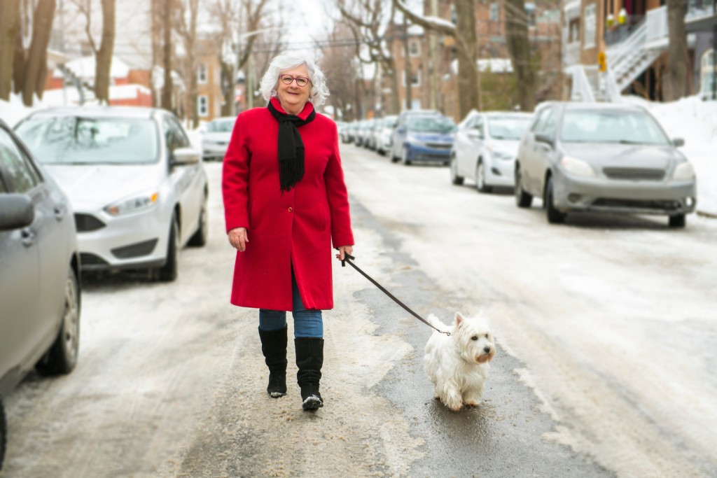 Senior Woman Walking Dog Through Snowy Street