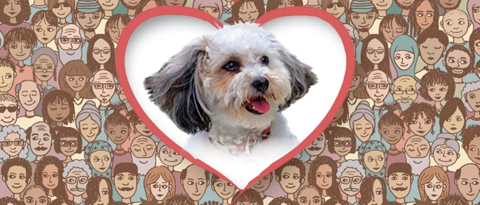Millie Heart And Faces Background Rev