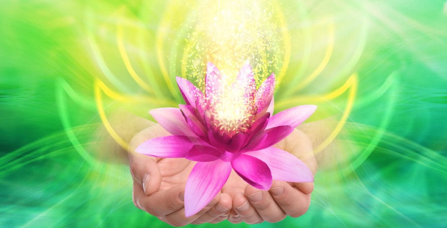 Man Holding Beautiful Lotus Flower On Bright Background, Closeup