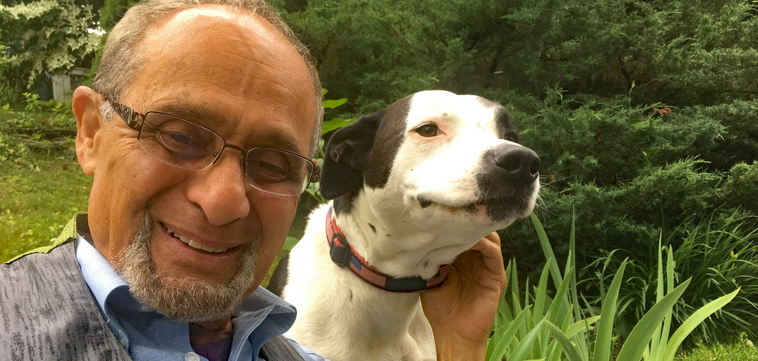 Keeping Pets Safe During Hurricanes Spirit of Change Magazine